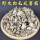 东北野生白毛尖蘑菇山珍土特产煲汤食用黄金蘑菇金子山蘑菇干货
