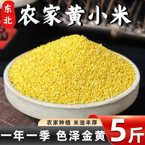 东北黄小米坐月子粗粮食用糯油