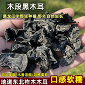 东北黑木耳干货黑龙江特产半野生柞木段木耳秋耳散装 无根大朵500g