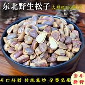 东北野生松子特大原味开口红色松子新鲜大粒手剥零食孕妇坚果500g