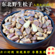 东北野生松子特大原味开口红色松子新鲜大粒手剥零食孕妇坚果500g