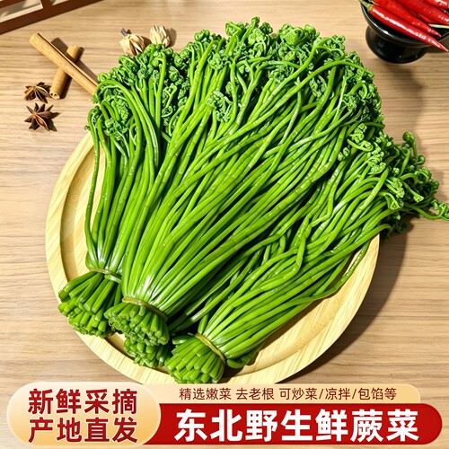 东北野生鲜蕨菜咸蕨菜无老根嫩滑