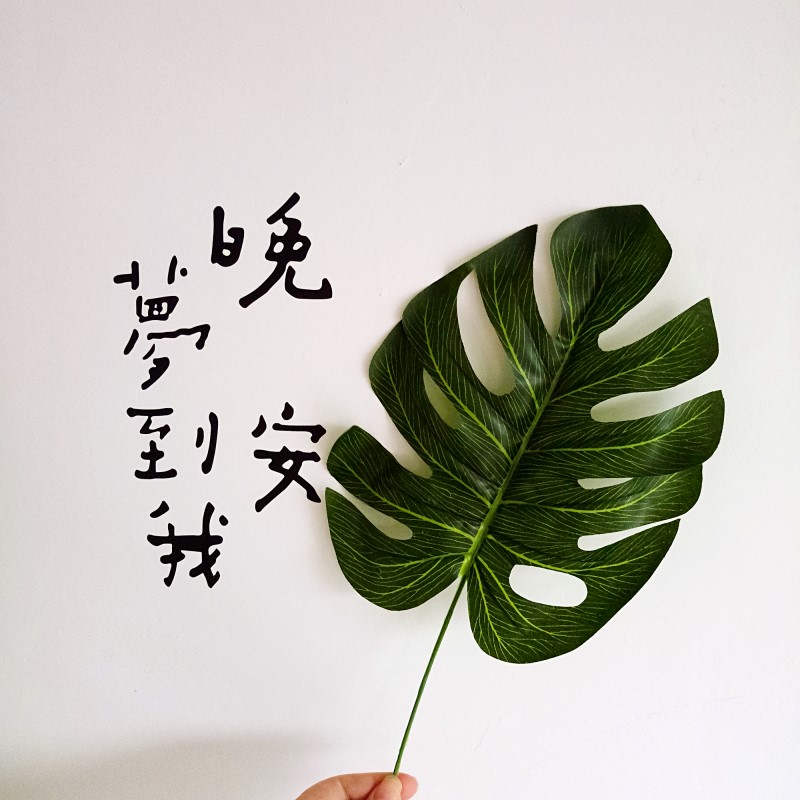 北欧简约ins风仿真植物椰树叶子拍照摄影背景摆拍道具装饰 新品