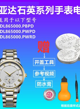 适用于FIYTA飞亚达DL865000.PBPD/PWPD DL865000.PWRD手表电池