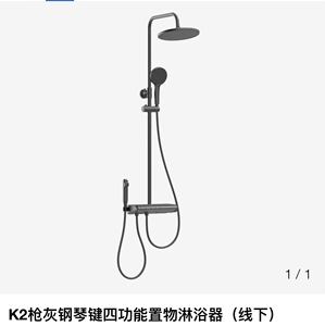 瑞尔特卫浴K2枪灰钢琴键四功能置物淋浴器门店同款