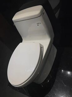 TOTO洁具卫浴马桶虹吸式坐便器连体坐厕CW874B