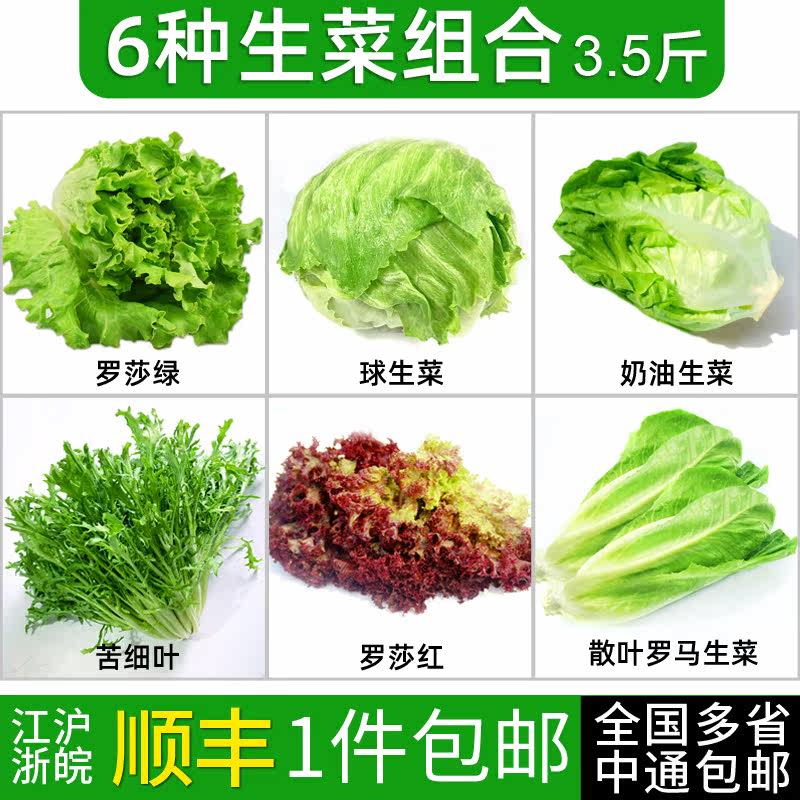 新鲜生菜沙拉组合3.5斤 共6种沙拉蔬菜汉堡菜球生菜红叶绿叶生菜