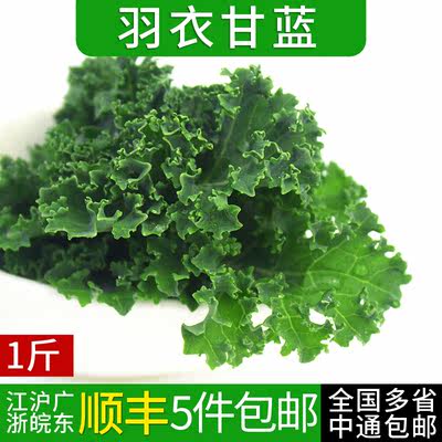 羽衣甘蓝500g 新鲜蔬菜嫩叶芥蓝菜 kale沙拉蔬菜 全国多省5件包邮