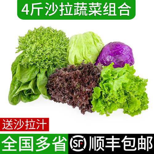 混合蔬菜沙拉轻食生菜食材