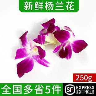 250克 西餐点缀 马兰花 新鲜洋兰花 香料 饰 杨兰花 饭店菜品装