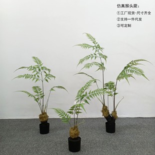 仿真猴头蕨金丝蕨禅意蕨绿植办公室客厅落地盆栽玄关装 饰摆件