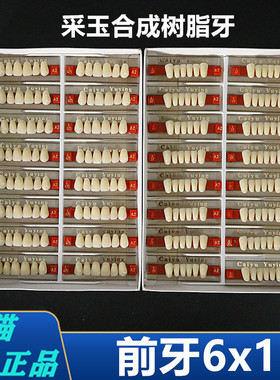 牙科材料门牙6x1采玉合成树脂牙后牙8x1 全口义齿塑钢树脂假牙