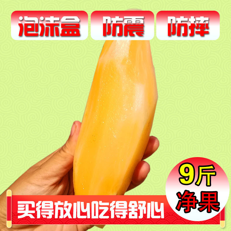 ¡¾ÅÝĺз¢»õ¡¿ÔÆÄÏÌØ²úÑ©Á«¹ûÐÂÏÊË®¹ûÇåÌð´àÏÖÍÚÏÖ·¢Ó¦¼¾Ë®¹û