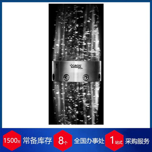 意大利YGROS真空、气体