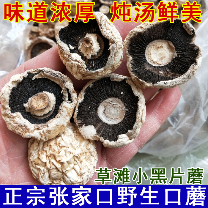 坝上野生草原黑片味道250g口蘑
