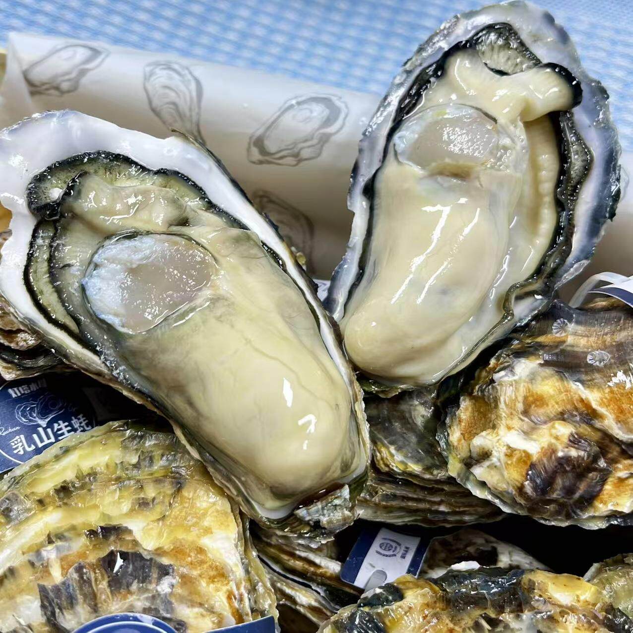 【先看页面售后要求】刺身级生蚝/a级精品生蚝