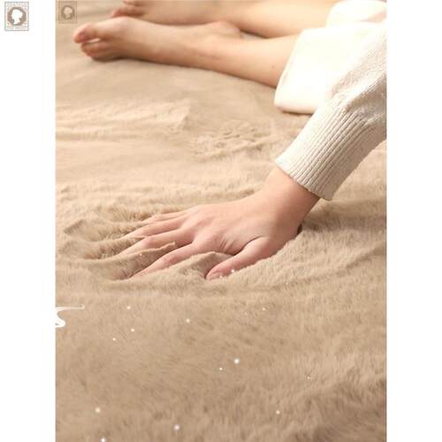 Living Room Carpet bedroom Soft Rug Carpets floor mats