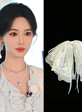 奔跑吧孟子义同款刺绣蕾丝蝴蝶结马尾抓夹水晶盘发夹后脑勺鲨鱼夹