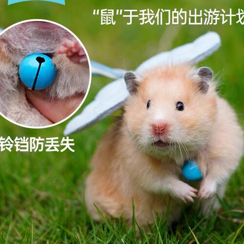 仓鼠牵引绳溜鼠绳金丝熊豚鼠兔子荷兰猪宠物外出绳子用品G