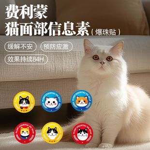 猫咪应激爆珠费利蒙猫面部信息素爆珠贴猫咪防应激外出情绪安抚