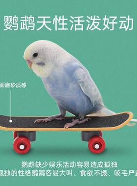 鹦鹉脚下益智互动玩具 磨爪迷你滑板 溜冰鞋 训练玩具 鹦鹉玩具