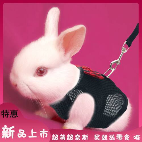 兔子牵引绳荷兰猪溜防挣
