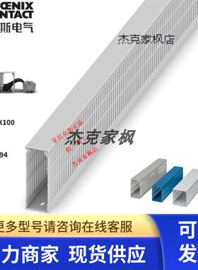 3240294德国菲尼克斯CD 40X100 - 行线槽电线槽 排线槽 2米/根 Y