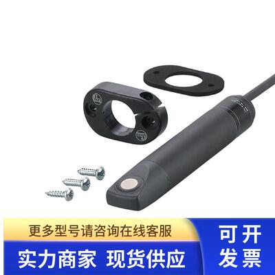 IFM SL0301  空气流量监控器