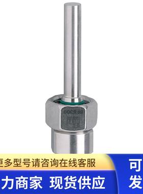 IFM 分体式流量开关 SF5800 SFD10ZDT /6M