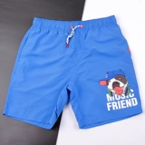 Пляжные штаны, водонепроницаемый быстросохнущий купальник