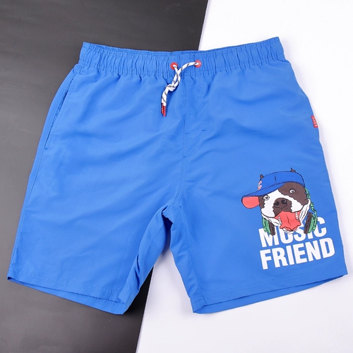 Пляжные штаны, водонепроницаемый быстросохнущий купальник