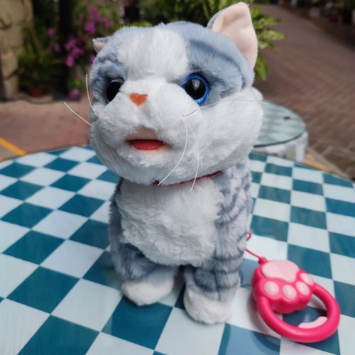 跨境新款狗猫跨境新款狗猫