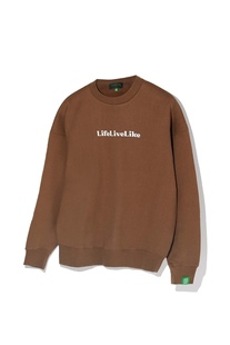 23秋冬加绒卫衣圆领套头Sweatshirt 韩国代购 lifelivelike