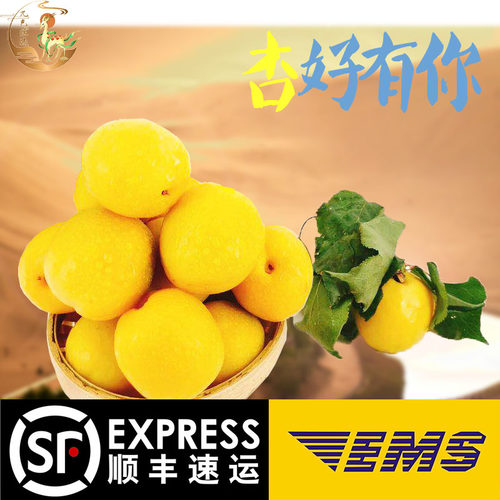 敦煌新鲜李广杏敦煌直发自产自销