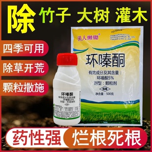 环嗪哃灌木杂草枯死烂根粉剂专用药除草烂根剂环嗪酮除竹子除草剂