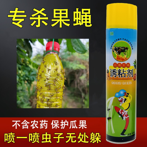瓜果实蝇诱粘剂果蝇诱捕器神器果树杀虫剂灭针蜂药果实蝇引诱剂