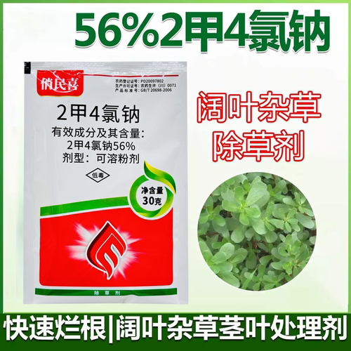 麦地草坪田苗专用二甲四氯钠