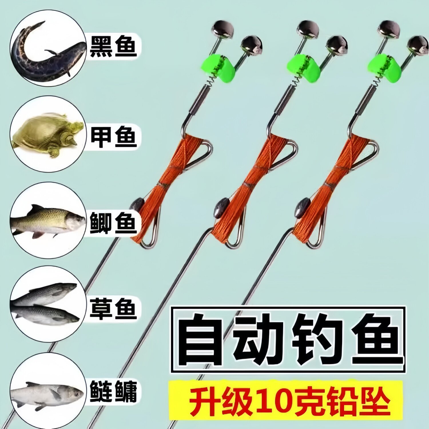 全自动弹簧地插懒人鲢鳙线组图片
