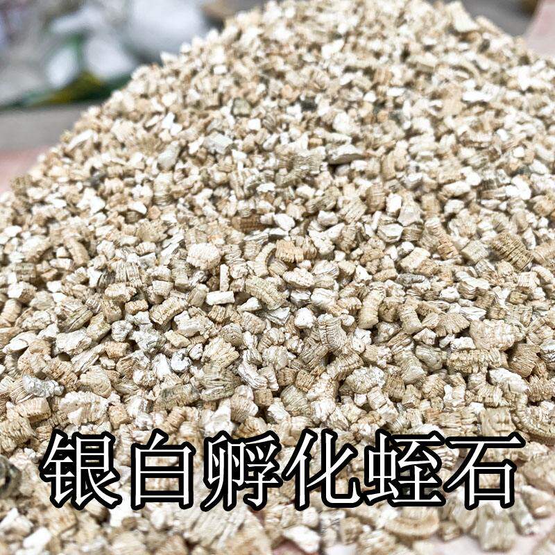 孵化蛭石新疆颗粒银白龟类蜥蜴