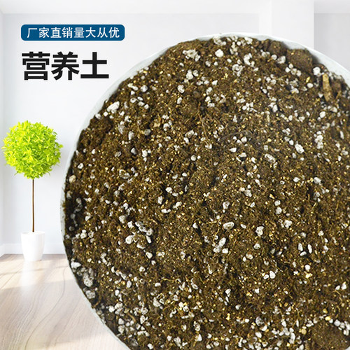 多肉专用花卉有机营养土