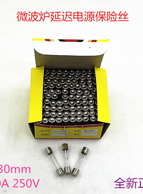 格兰仕10A250V延迟保险丝熔断器
