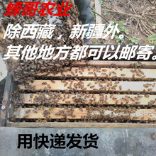 3脾420元包邮1