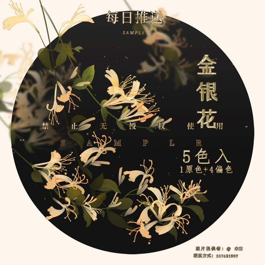 金银花忍冬原创水彩手绘可商用橙光免抠png透明底psd设计电子素材