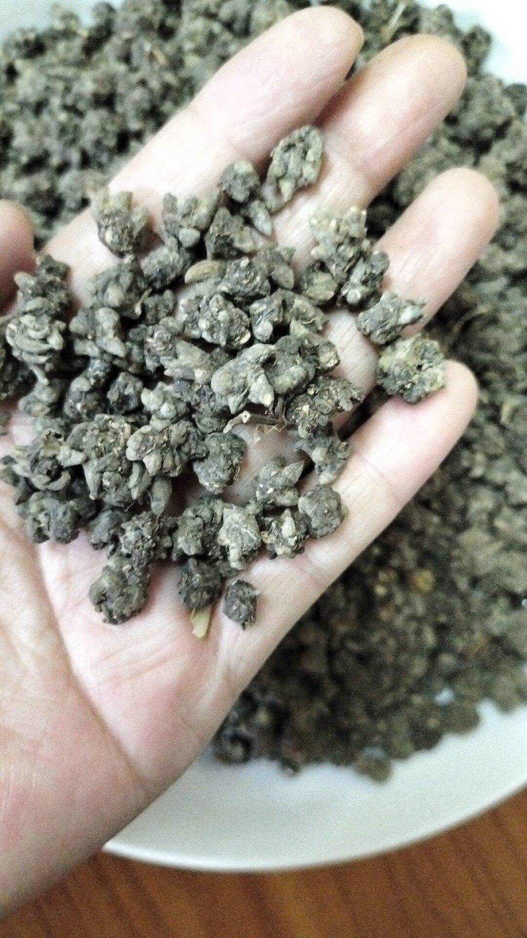 野生猫爪草250g克新鲜正品猫爪草猫猫草泡茶