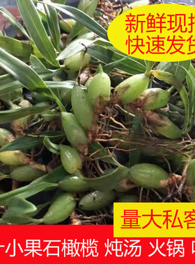 现发石橄榄新鲜广西石橄榄双叶石仙桃炖汤补品中小号福建石橄榄