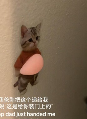 萌宠猫咪创意卡通门档硅胶门档门把手缓冲阻挡器墙面防撞保护贴饰