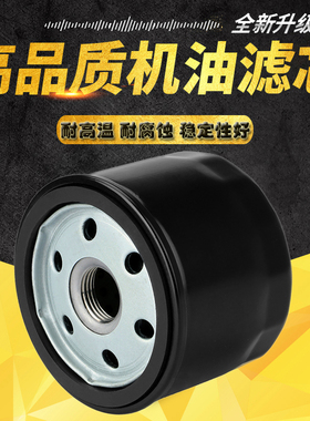 cyleto适配宝马K1600 K1600GTL K1600GT HP2 Enduro R18机油滤芯