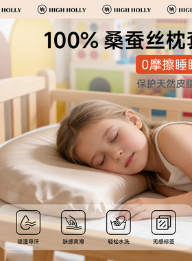 100%桑蚕丝儿童真丝枕套睡眠方程式枕头套婴儿乳胶枕宝宝n357专用