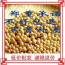 熟黄豆 商用低温烘焙黄豆即食东北大豆现磨豆浆专用非转基因500g