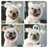 Питомец продает милый розовый милый маленький ангель